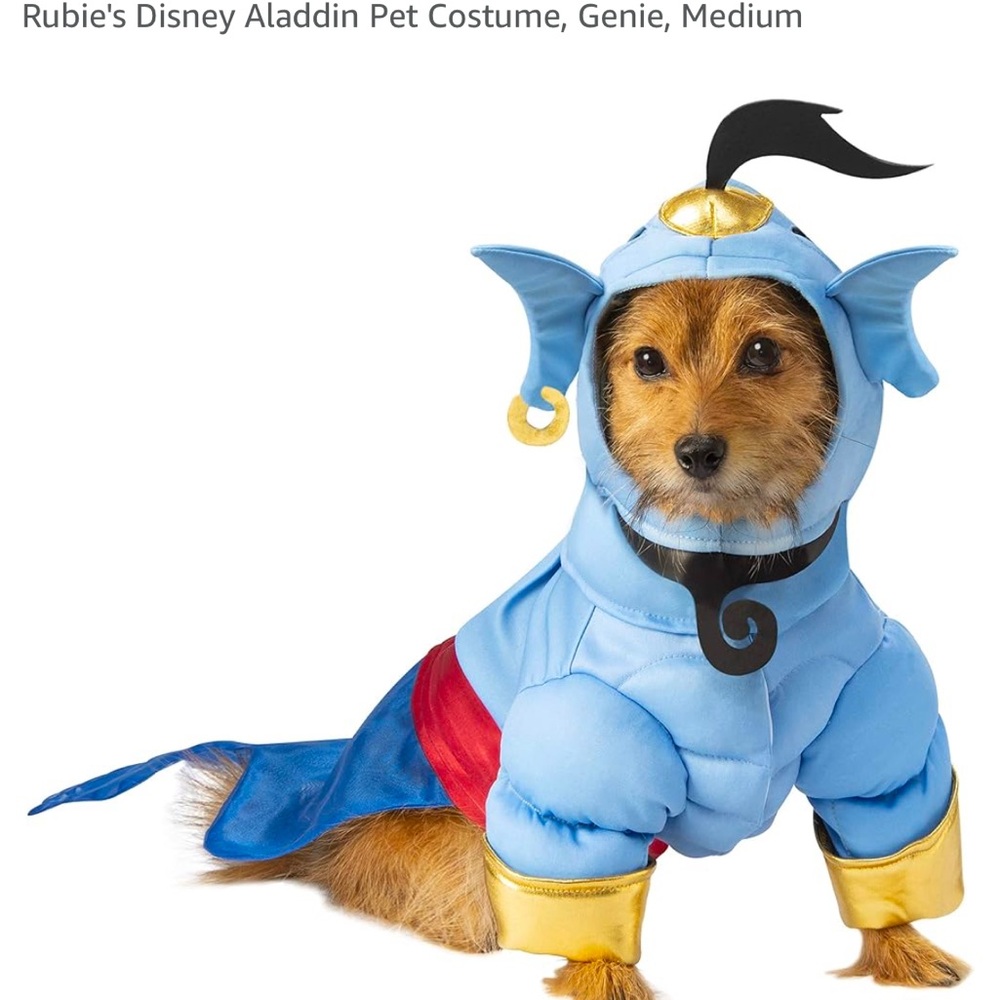 Rubie’s Disney Aladdin Genie Pet Costume NWOT